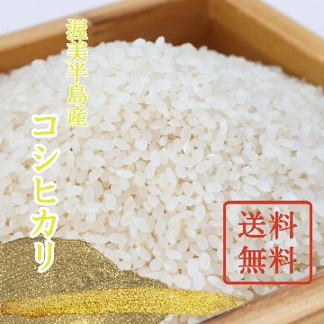 【単品/送料無料】令和6年（新米）コシヒカリの画像