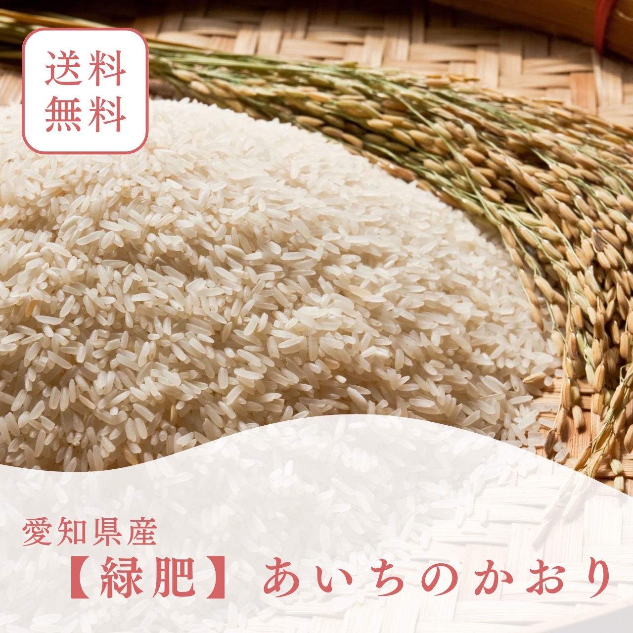 【単品/送料無料】令和6年（新米）【緑肥】あいちのかおりの画像