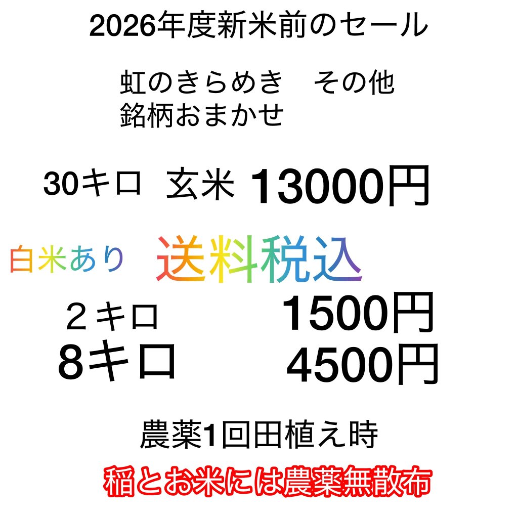 【単品/送料無料】令和７年　虹のきらめき他　おまかせ銘柄の画像
