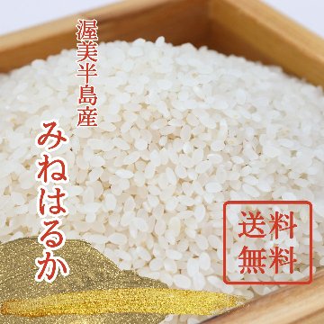 【単品/送料無料】令和6年（新米）みねはるかの画像