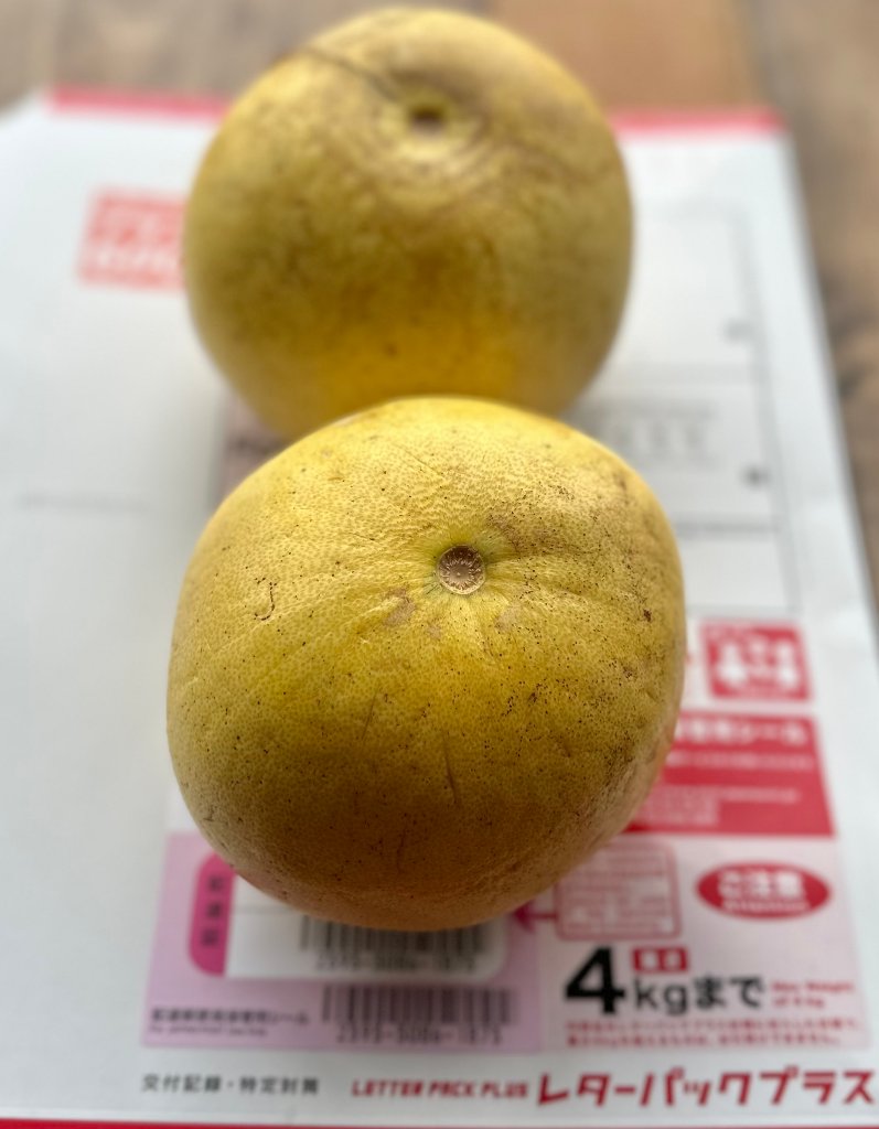 自然栽培　文旦　2個　【送料無料レターパック】　1.4kg前後　の画像
