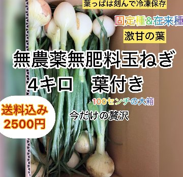 無農薬無肥料　葉付き15本前後　玉ねぎ　今だけの贅沢の画像