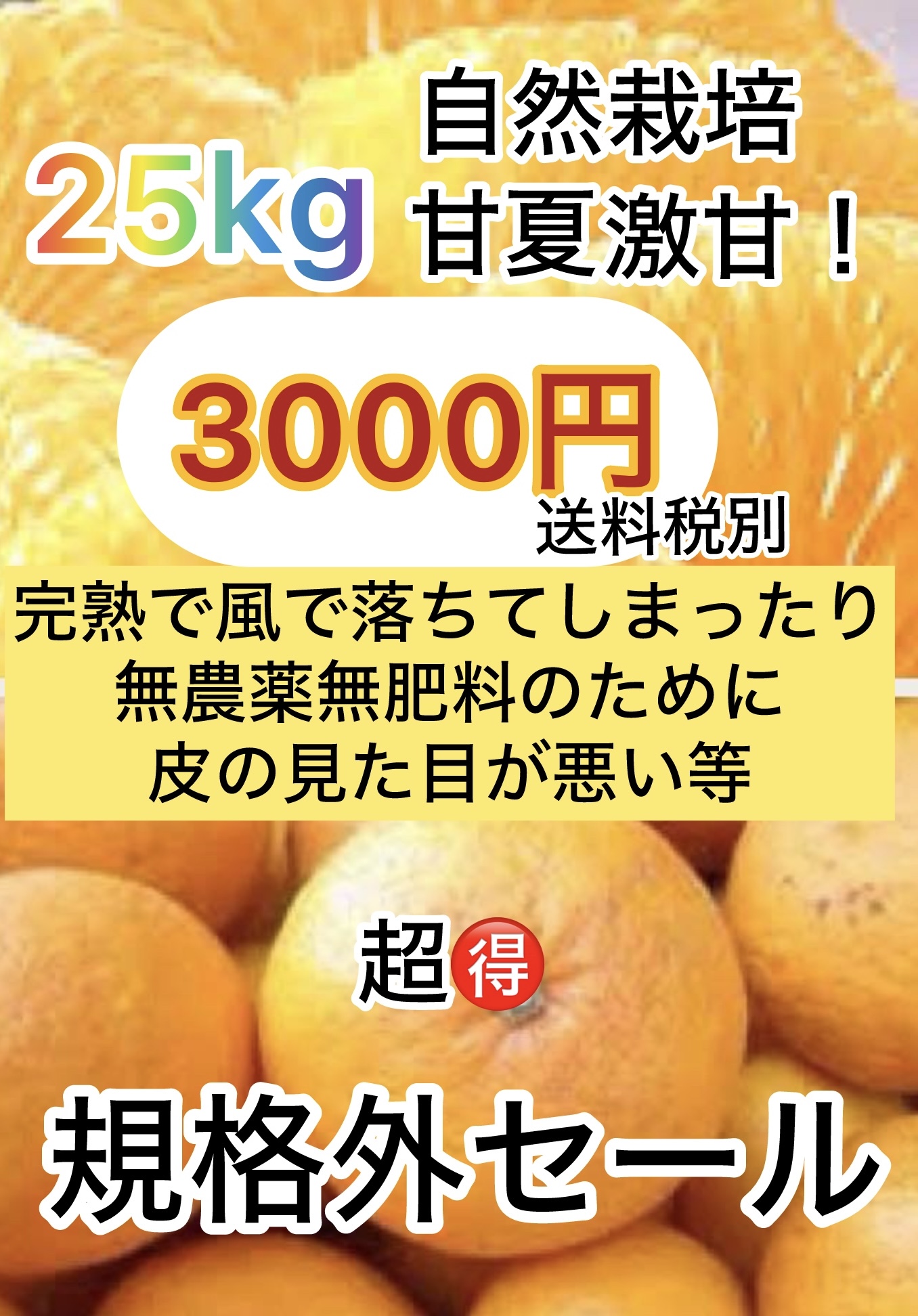 規格外　自然栽培　美味しい甘夏の画像