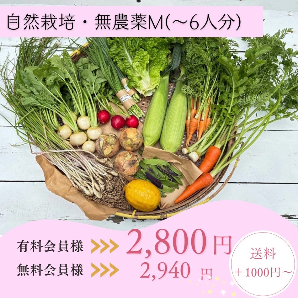 野菜｜女農業道 オンラインショップ