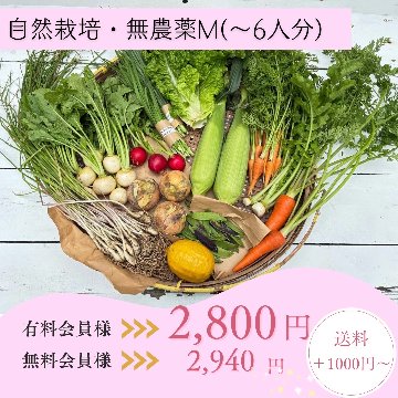 ミカン様用　月山竹　姫竹　わらびセット　 25年無農薬野菜 無農薬 無肥料みかん 和歌山県和歌山 観音山フルーツガーデン