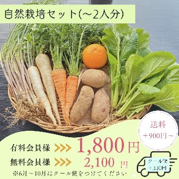 【自然栽培　野菜セット】S60cm箱/M80cm箱/L100cm箱 ≪送料別≫≪送料別≫の画像