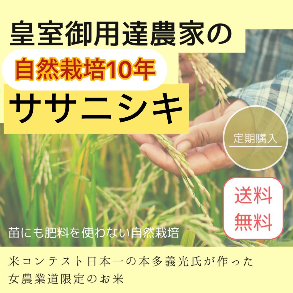 ※ご予約商品2026.10月下旬頃発送予定　　【定期/送料無料】令和7年（新米）皇室御用達農家の自然栽培10年ササニシキの画像