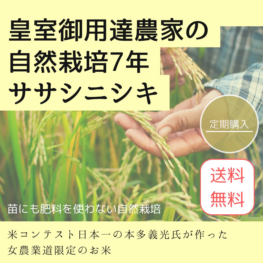 ※ご予約商品2025.9月頃発送予定　　【定期/送料無料】令和7年（新米）皇室御用達農家の自然栽培9年ササニシキの画像