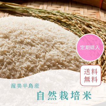 【定期　送料無料】令和7年（新米）自然栽培米16年コシヒカリの画像