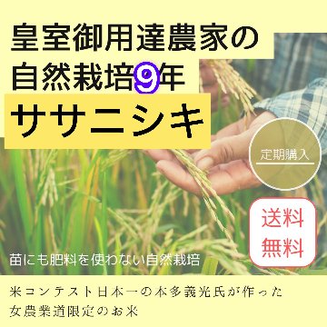 【定期/送料無料】令和7年（新米）皇室御用達農家の自然栽培9年ササニシキの画像