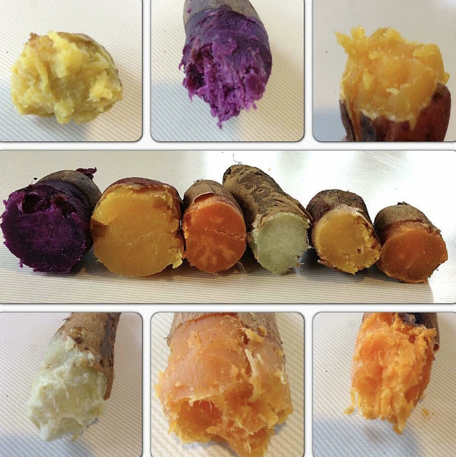 自然栽培　サツマイモ　４ｋｇ【送料無料】の画像