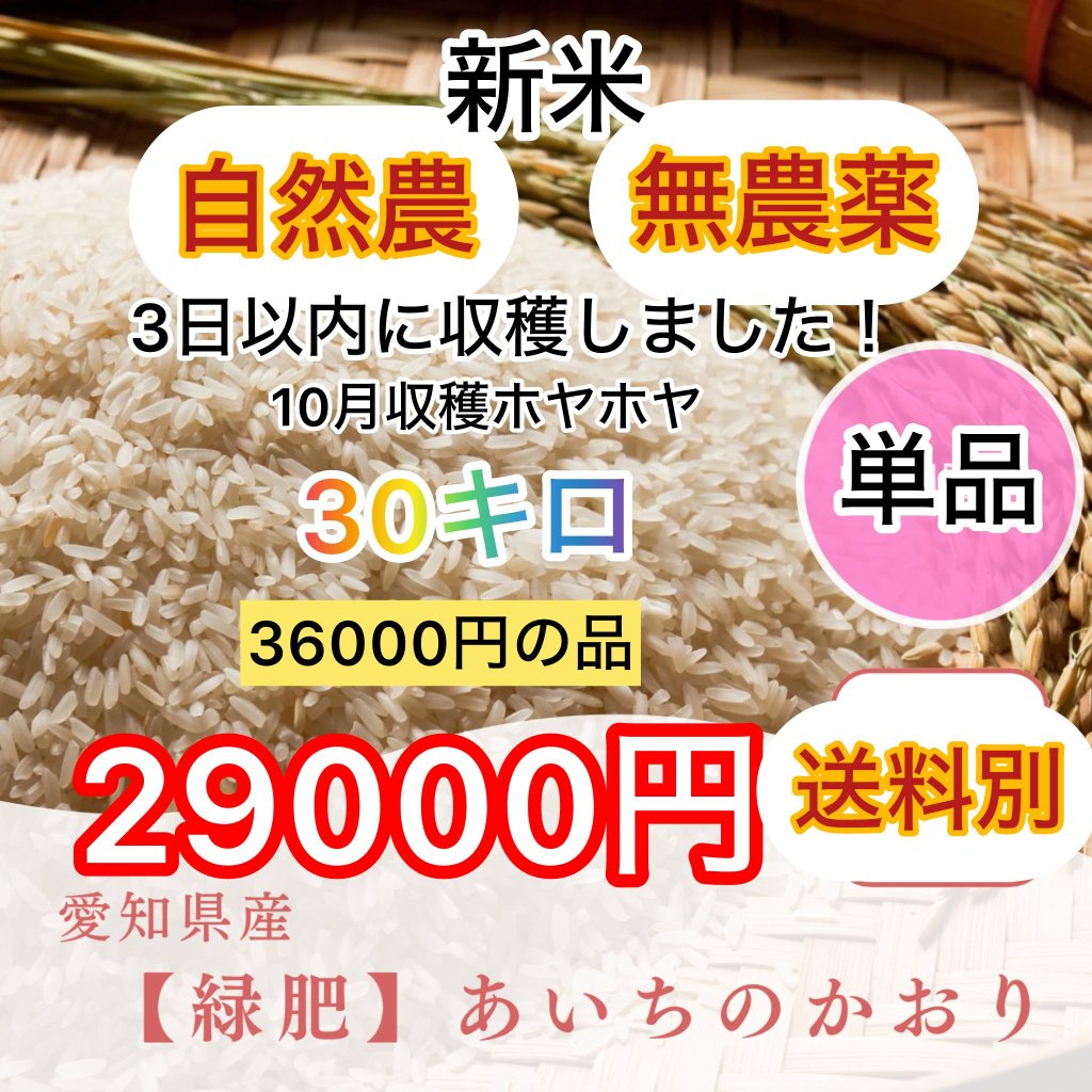 【自然農】新米　あいちのかおり/あいちのこころ　無農薬緑肥　36000円→29000円　税別の画像