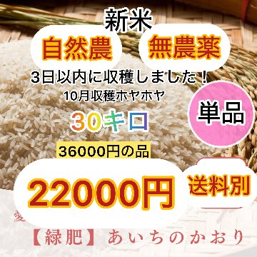 10袋以上まとめ購入の方限定／卸業者のみ決算セール【自然農】新米　あいちのかおり/あいちのこころ　無農薬緑肥≪送料別≫の画像