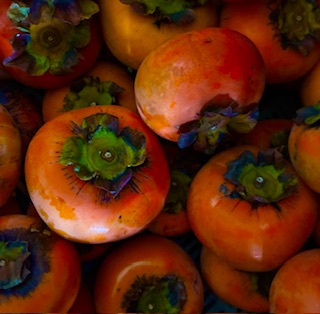 無農薬無肥料　かき　1.８kg　の画像