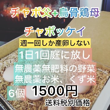 無農薬餌の烏骨鶏とチャボの有精卵　６個　の画像
