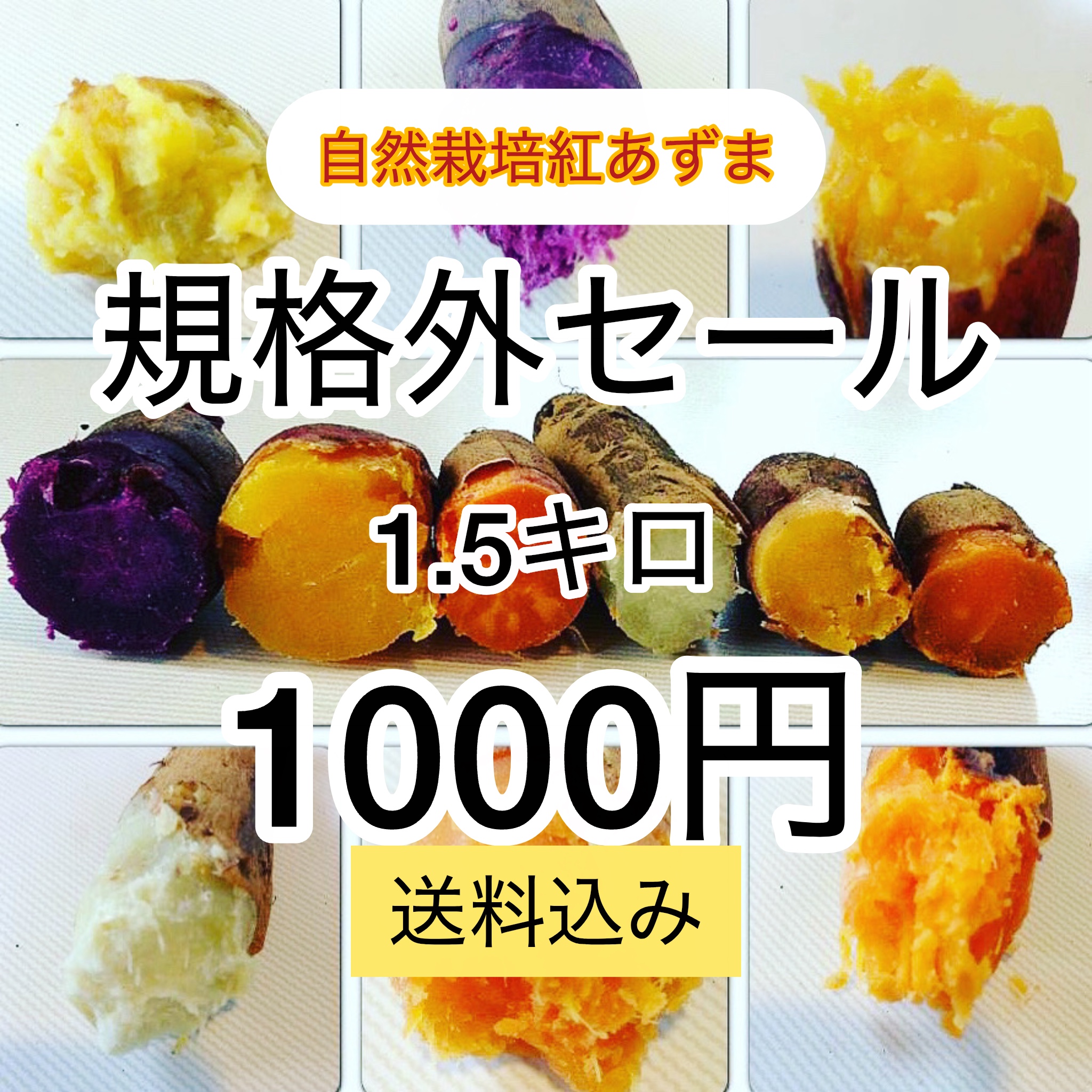 セール　自然栽培　サツマイモ　規格外傷、おれ、その他【送料無料】の画像