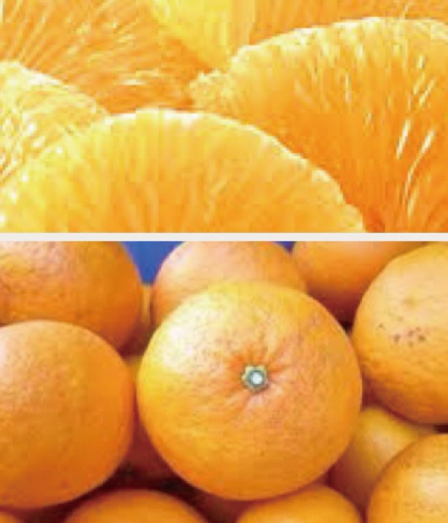 甘夏　自然栽培　規格外の画像