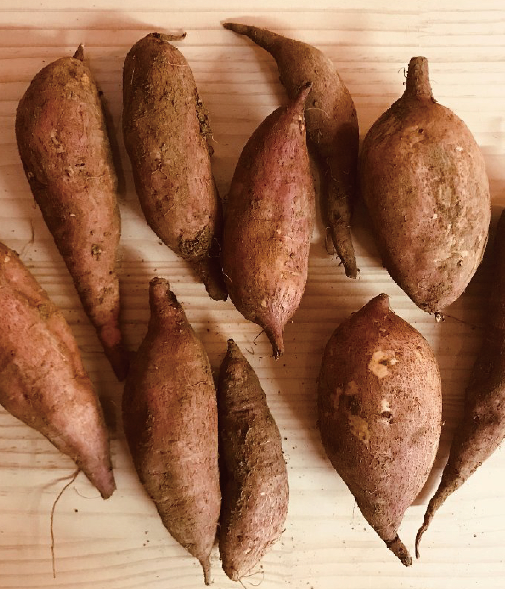 規格外品自然栽培サツマイモ（きず、折れ、その他）合わせて1万円以上送料無料画像