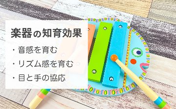 フランス発おもちゃブランド「DJECOジェコ」対象18ヵ月以上アニマンボシリーズ シロフォン 楽器玩具お誕生日プレゼントに！インテリアとしてもかわいいフランスおもちゃの画像