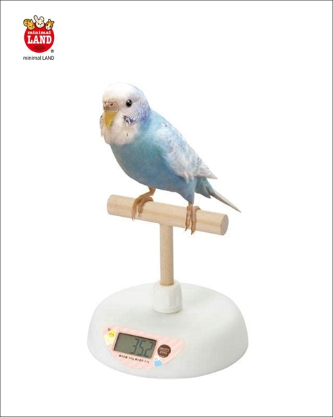 マルカン　小鳥の体重計　[鳥　健康管理]画像