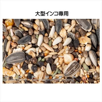 黒瀬ペットフード マニア 大型インコ専用1L〔鳥用フード 自然派 mania〕の画像