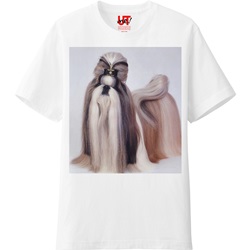 オリジナルTシャツ（ASLAN　W)ベイシックの画像