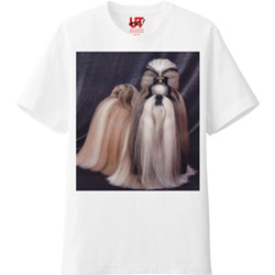オリジナルTシャツ（ASLAN　B)ベイシックの画像