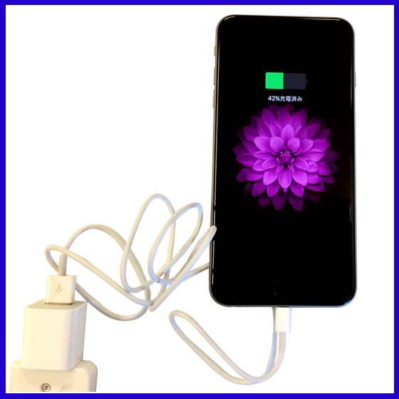 iPhone/iPad/iPod touch対応　Lightning ライトニングケーブル　最新OS動作確認済 データ通信可 メール便なら送料無料画像