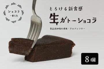 ガトーショコラ様 リクエスト 2点 まとめ商品 2foods_brand-