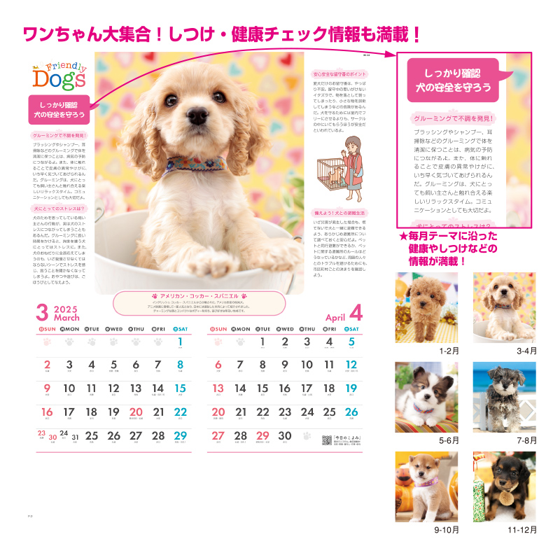 フレンドリードックスの画像