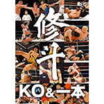 修斗ＫＯ＆一本の画像