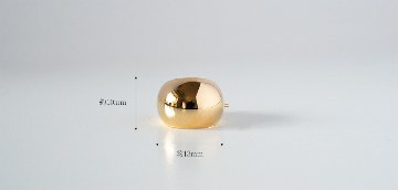 K18 ゲッコー ピアス rpakr200923の画像