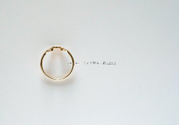 K18 ホースシュー リング rpaub11722の画像