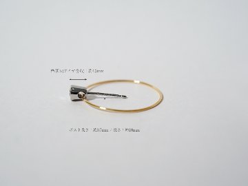 K18/Pt ルシオラ ダイヤモンド ピアス 0.2ct rph43142423の画像