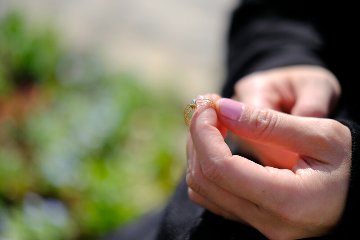 K18 ネプチューン ダイヤモンド リング rpg012032580922の画像