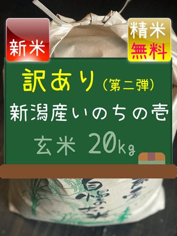 ニレ様専用　2.1～2.2㎜選抜 B品いのちの壱の画像