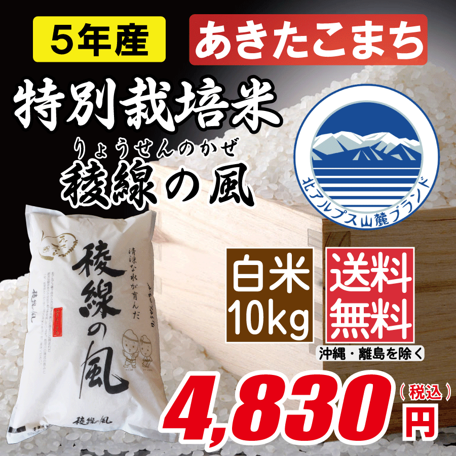特別栽培米 長野県産あきたこまち 白米10kg画像