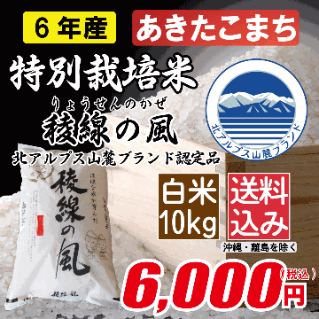 特別栽培米 長野県産あきたこまち 白米10kgの画像