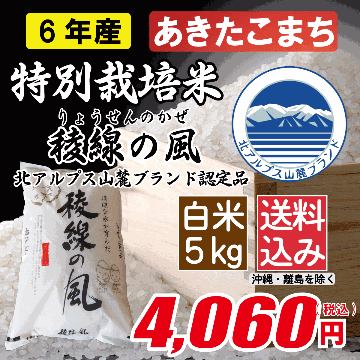 特別栽培米 長野県産あきたこまち 白米5kgの画像