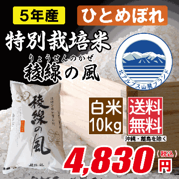 特別栽培米 長野県産ひとめぼれ　白米10kg画像