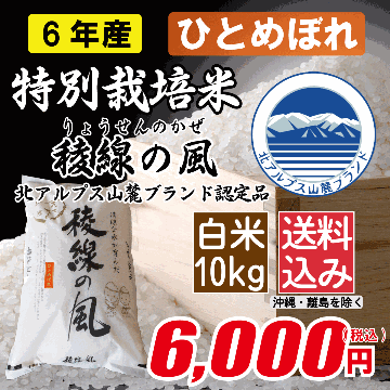 特別栽培米 長野県産ひとめぼれ　白米10kgの画像