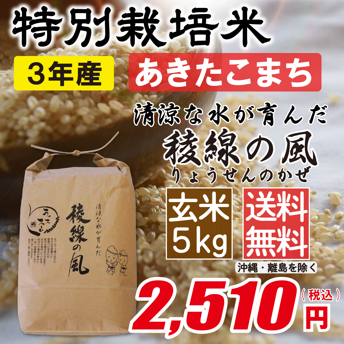 特別栽培米 長野県産あきたこまち 玄米5kg画像