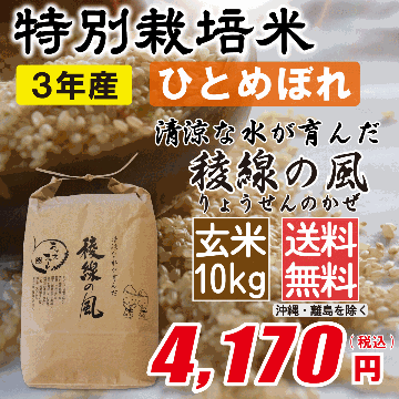 特別栽培米 長野県産ひとめぼれ　玄米10kg画像