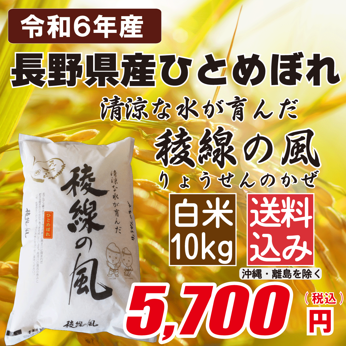 長野県産ひとめぼれ 白米10kgの画像