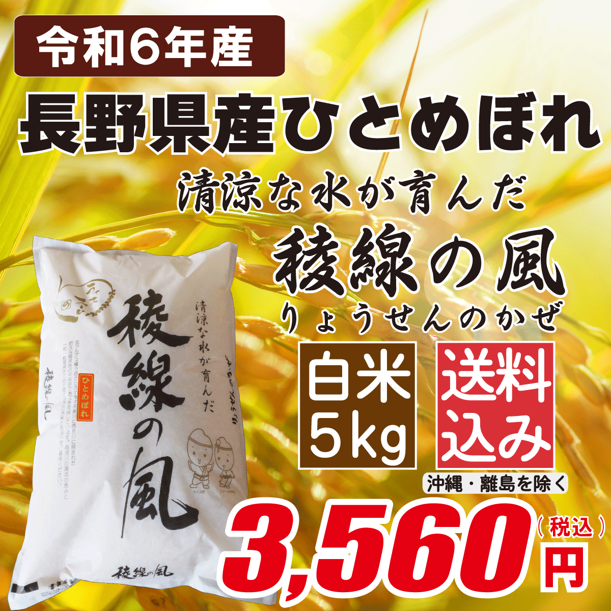 長野県産ひとめぼれ 白米5kgの画像