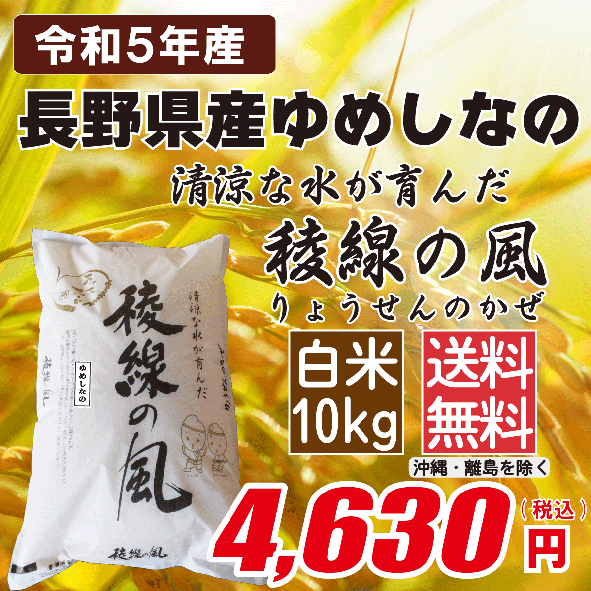 長野県産ゆめしなの 白米10kg画像