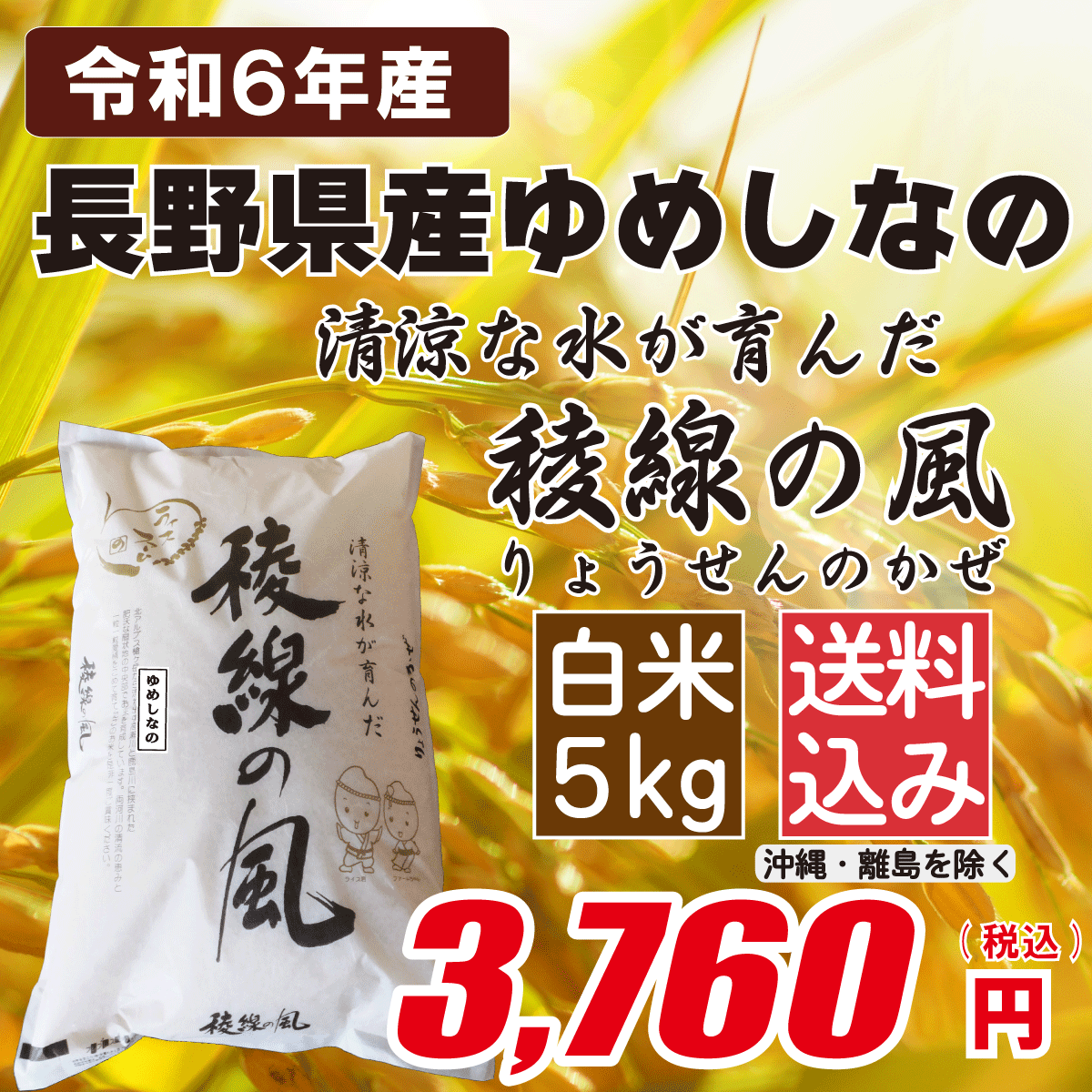 長野県産ゆめしなの 白米5kgの画像