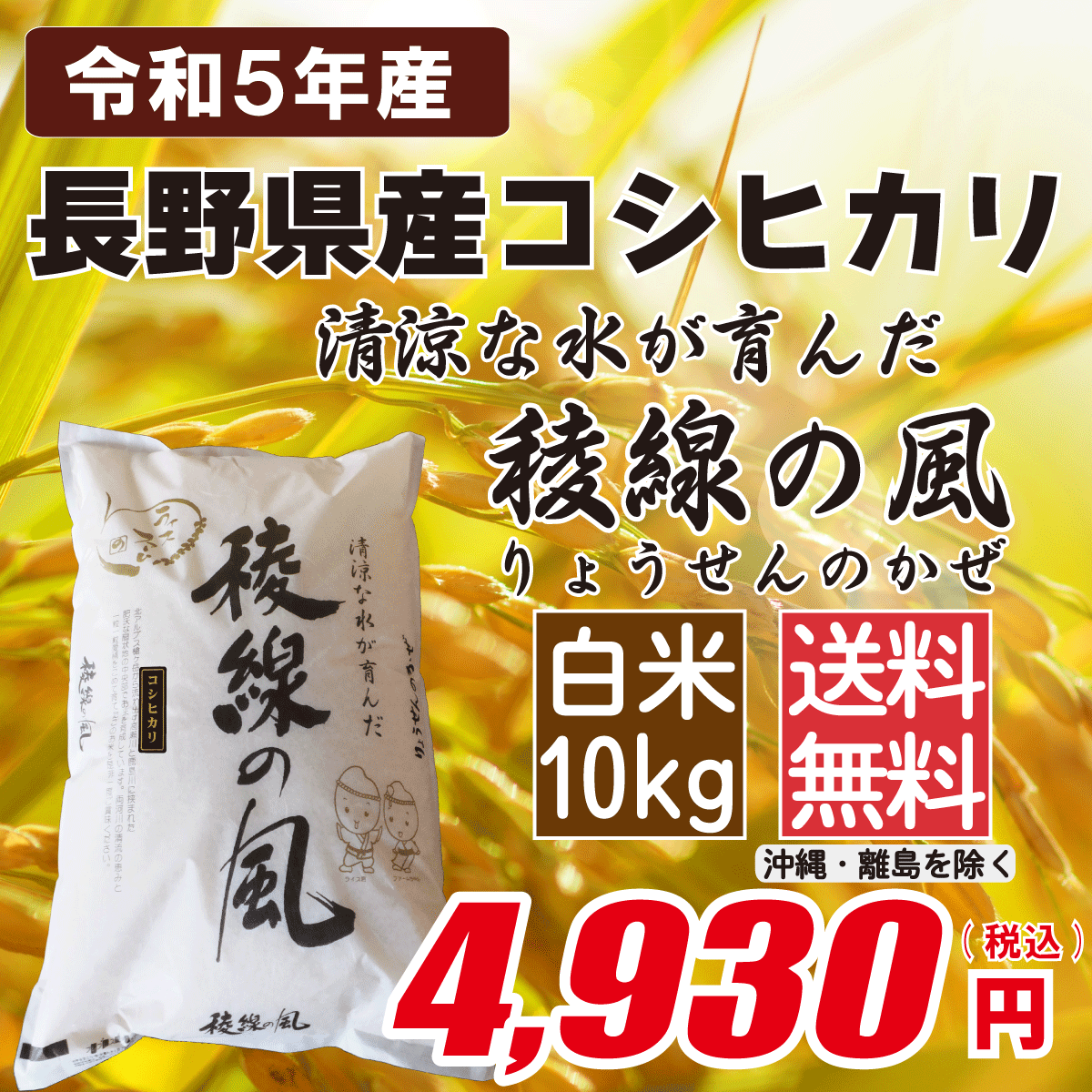 長野県産コシヒカリ 白米10kg画像
