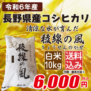 長野県産コシヒカリ 白米10kgの画像