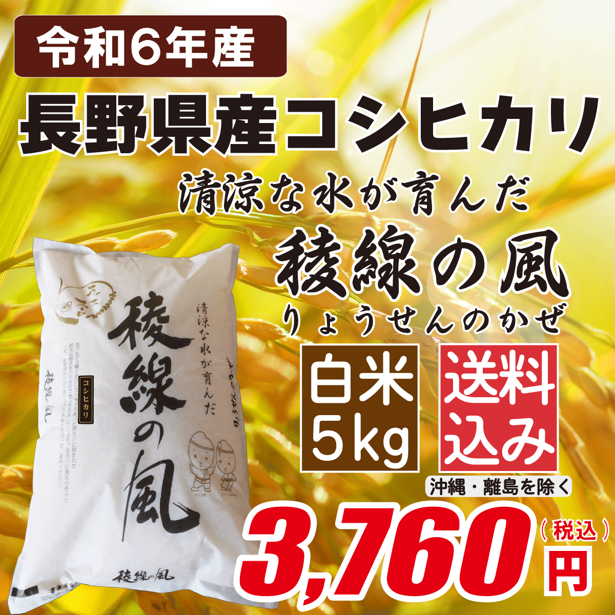 長野県産コシヒカリ 白米5kgの画像